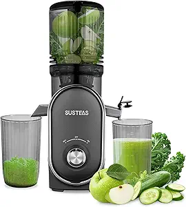SUSTEAS Cold Press Juicer, 5.3" Feed Chute(50oz Capacity), 300 Watt Slow Masticating Juice Extractor for Whole Fruits and Vegetables, Automatic Feed, Easy to Clean, High Juice Yield,Silver gray