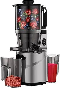 Cold Press Juicer - 5.5" Feeding Chute, Masticating Juicer Fit Whole Fruits and Vegetables, Auto-cutting Auger, Easy to Clean, Gray